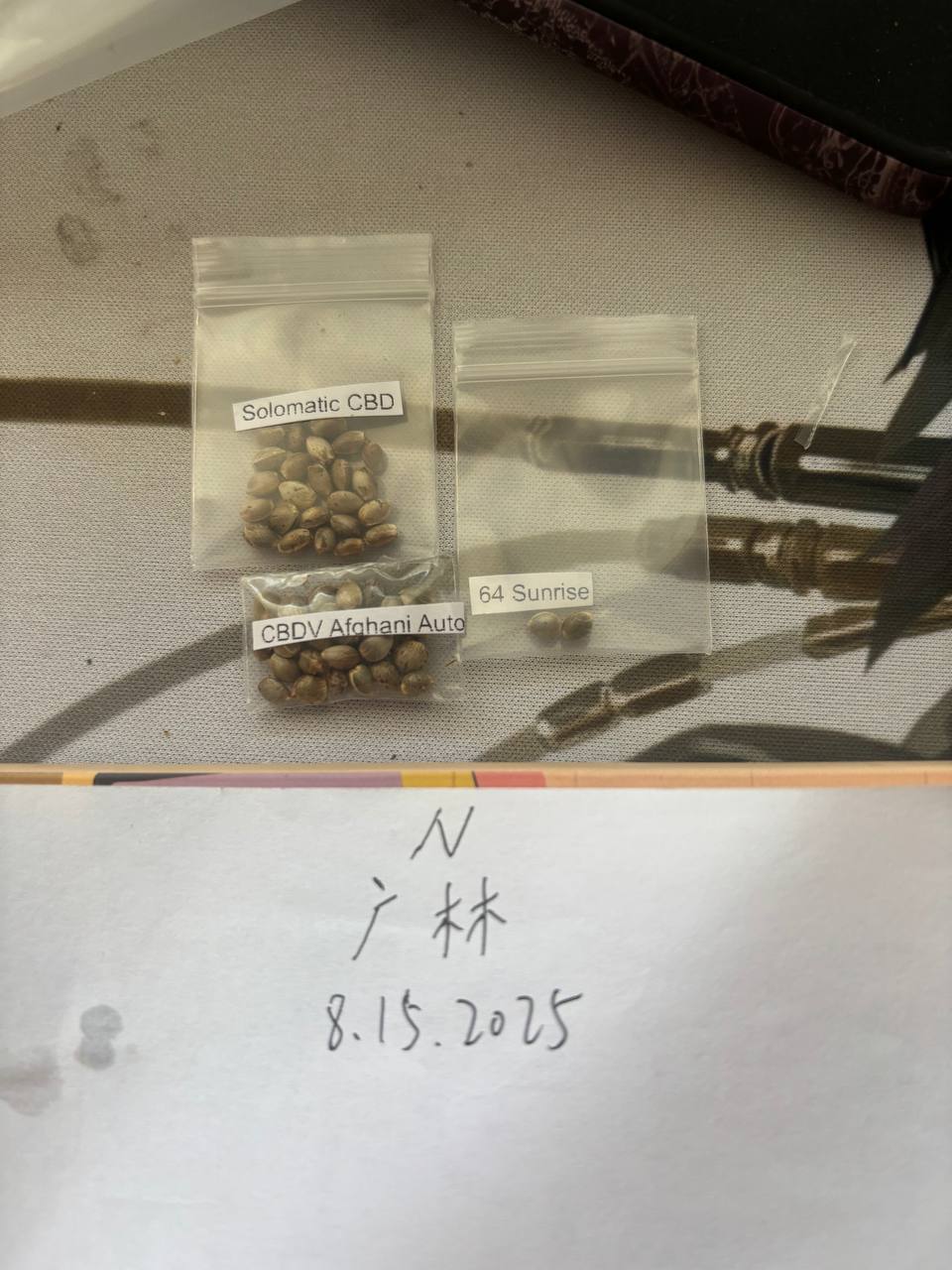 【全国邮寄】进口种子