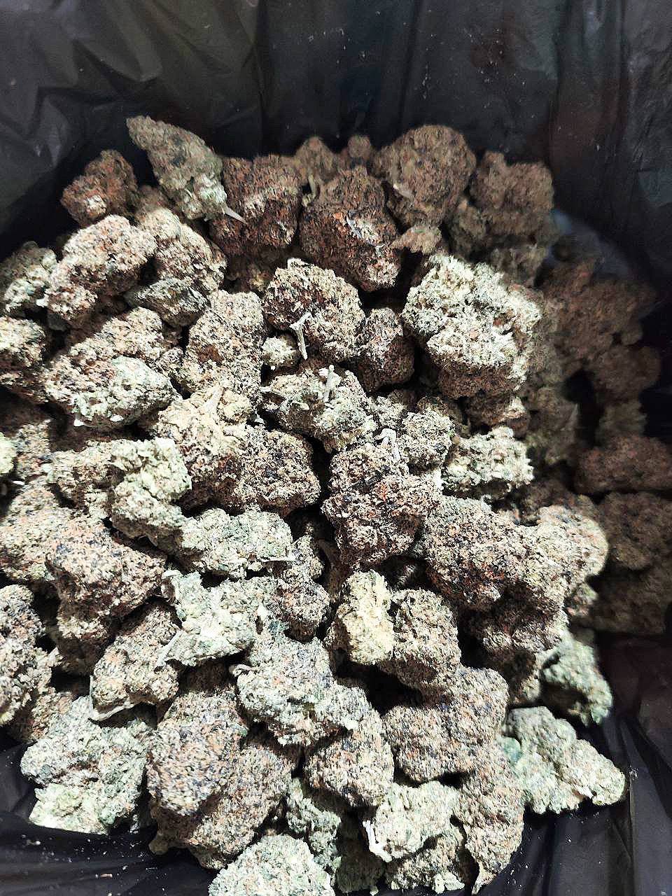 【重庆/成都】紫雾甜心