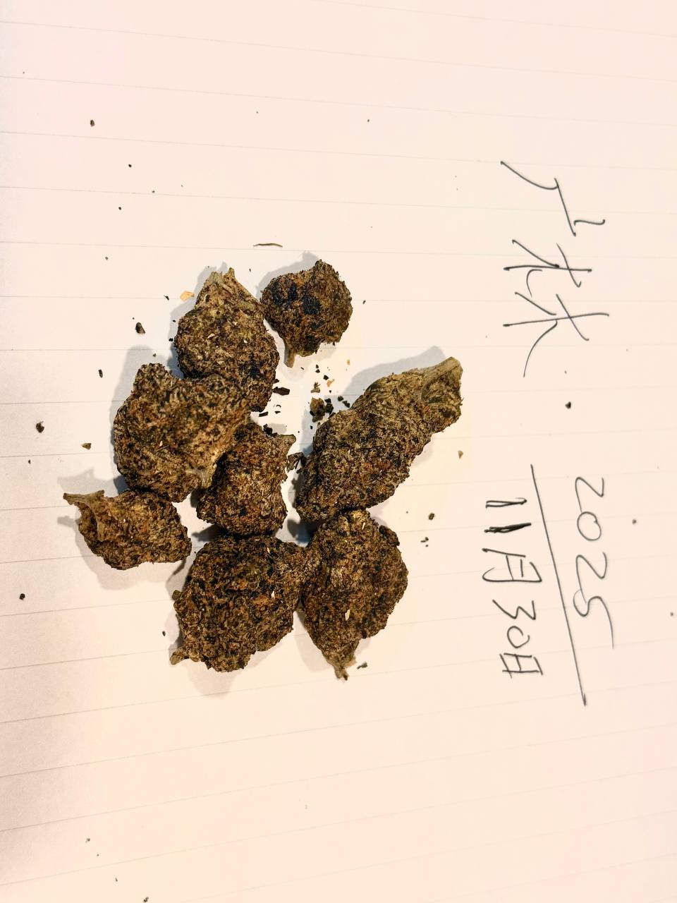 【北京】黑莓雾霾