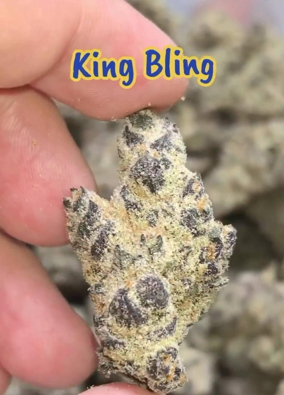 【多地区】进口King Bling