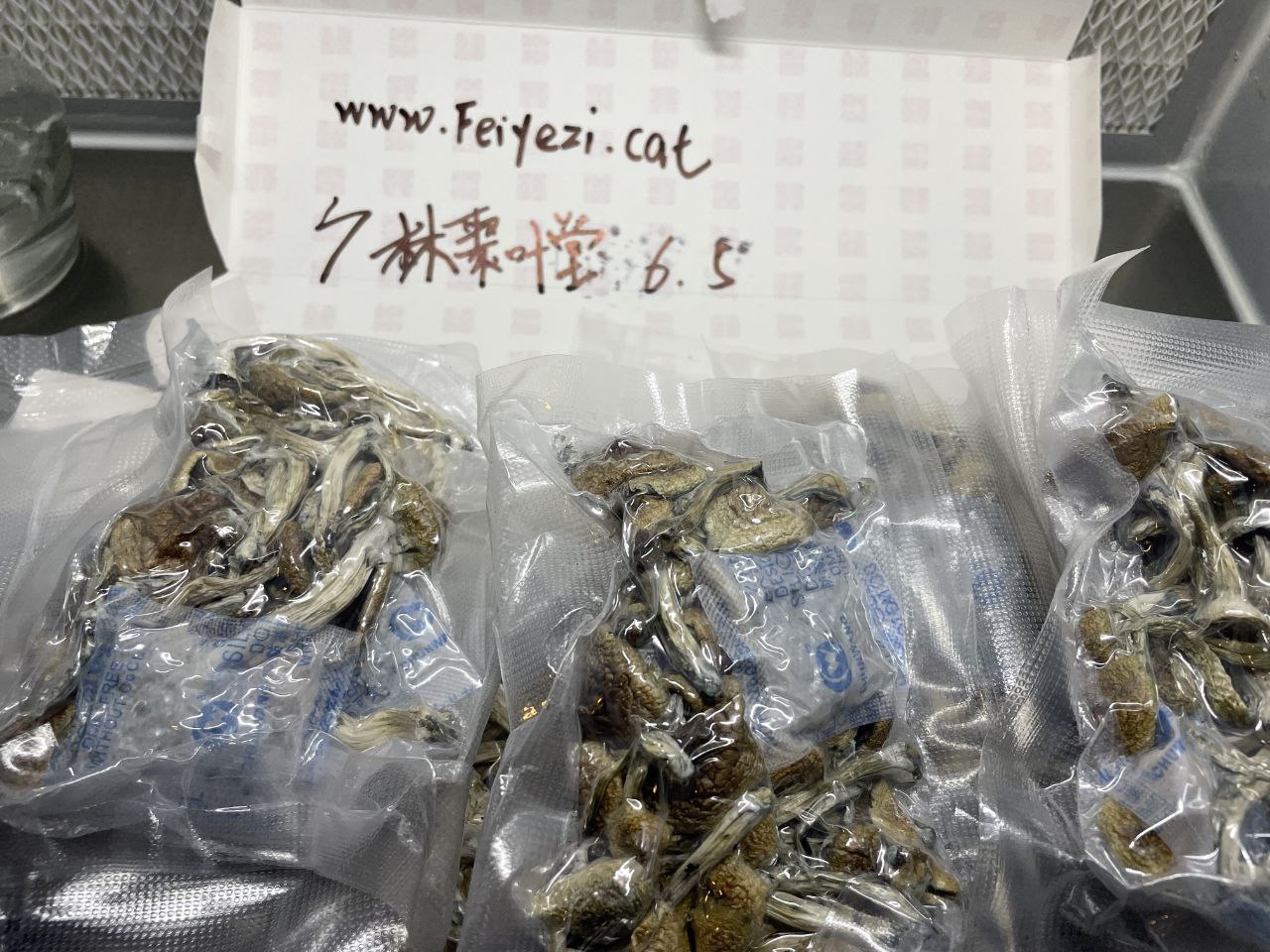 【厦门】迷幻蘑菇