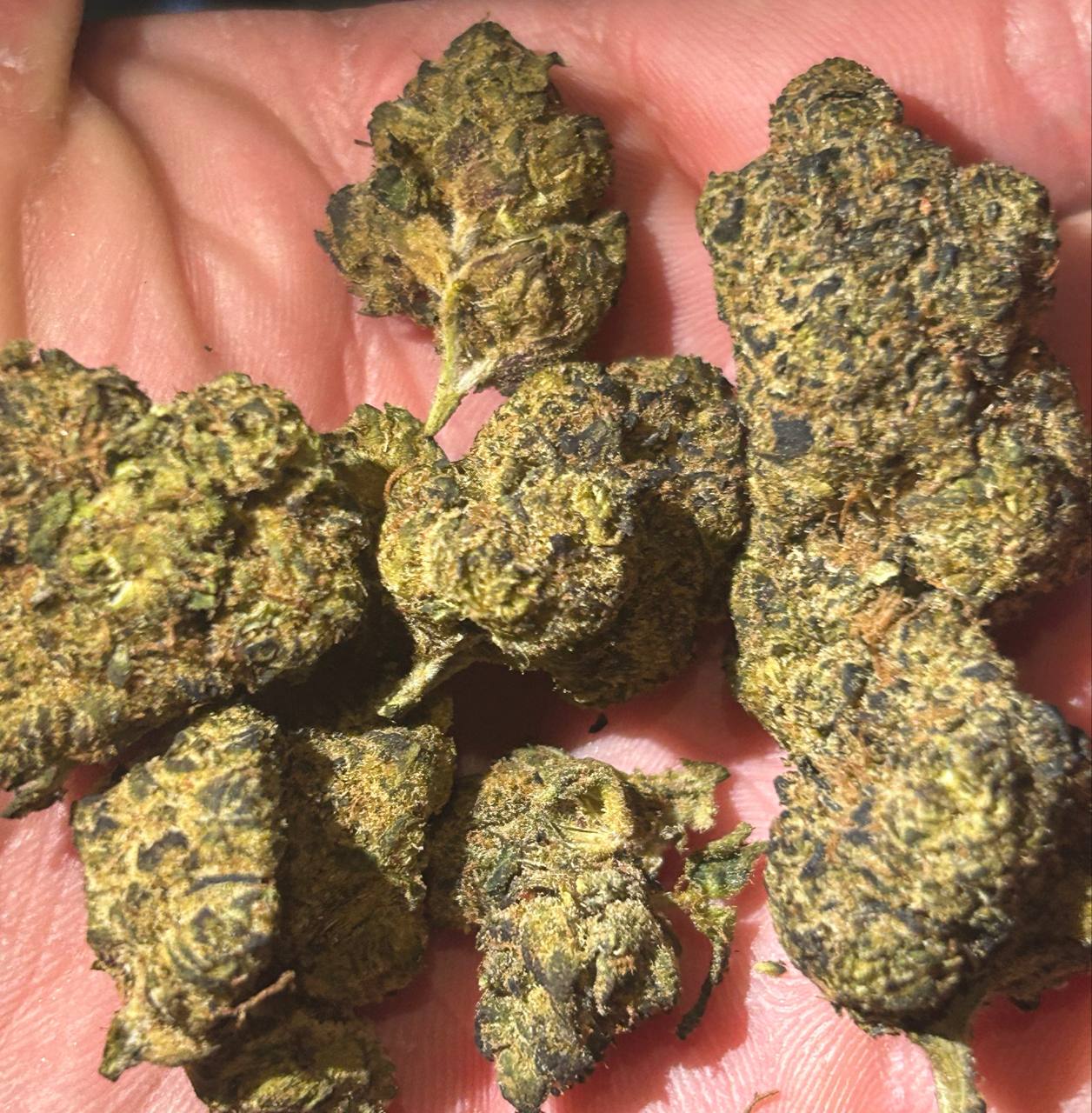 【多地区】进口菠萝快车xOG KUSH