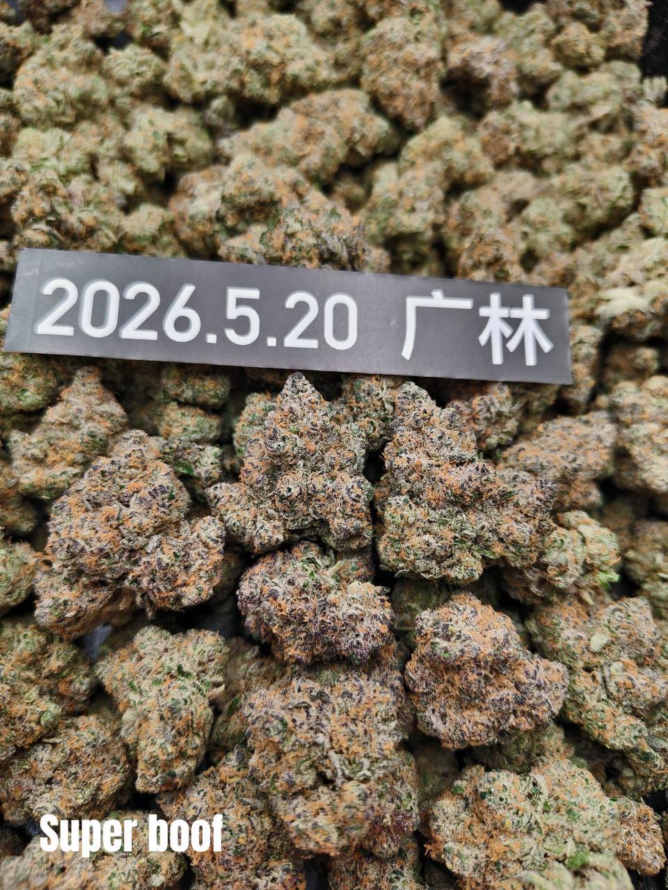 【郑州/廊坊】ICC/super boof进口双拼