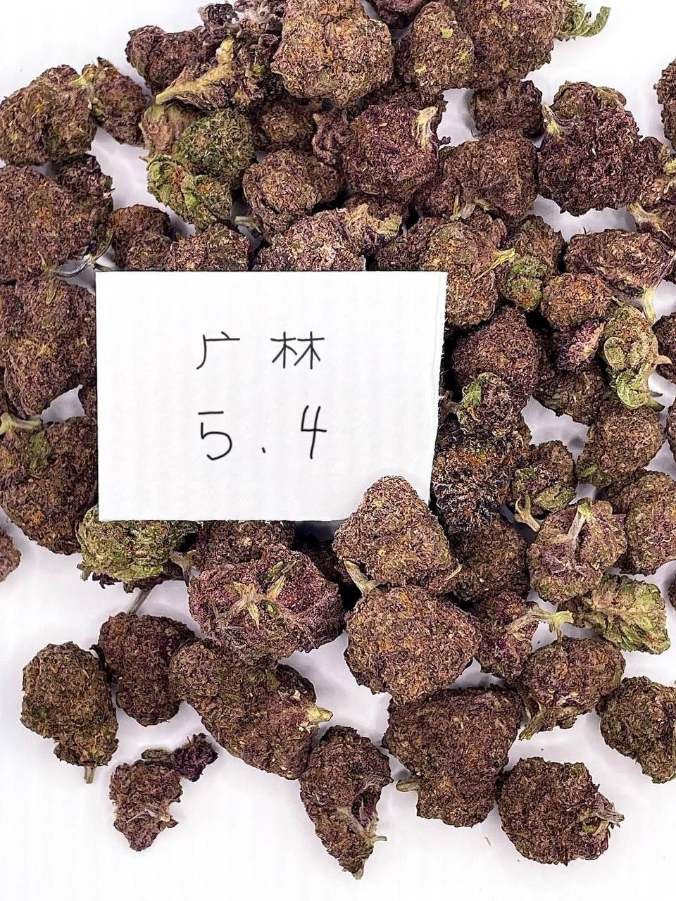 【成都/重庆】进口热带炸弹