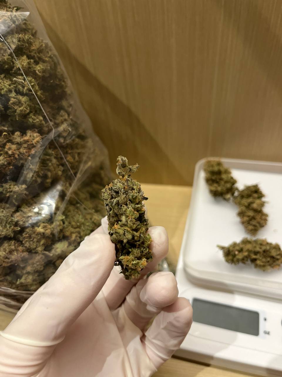 【重庆】柠檬树