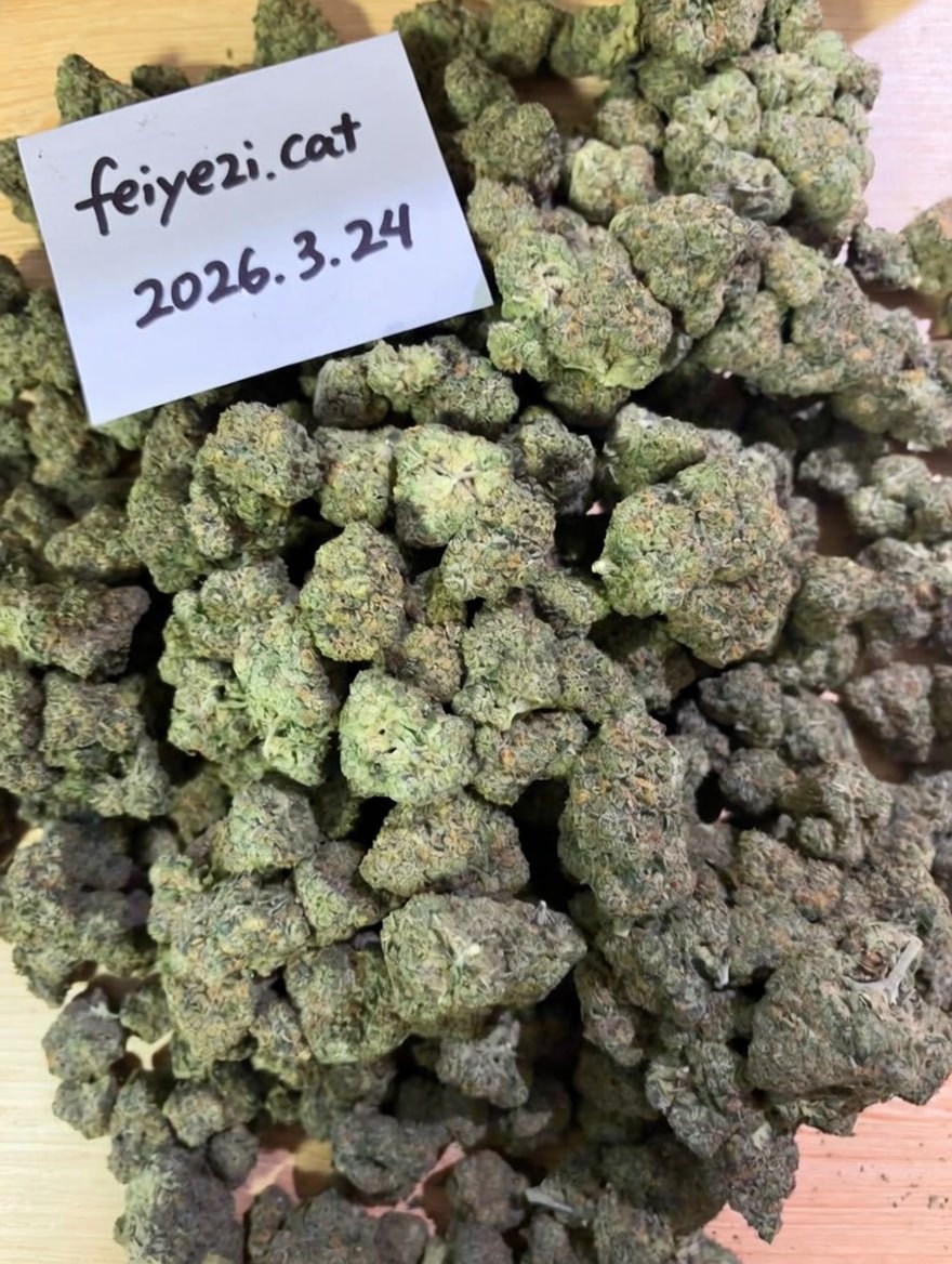 【重庆】绿梦爆破 /紫焰OG