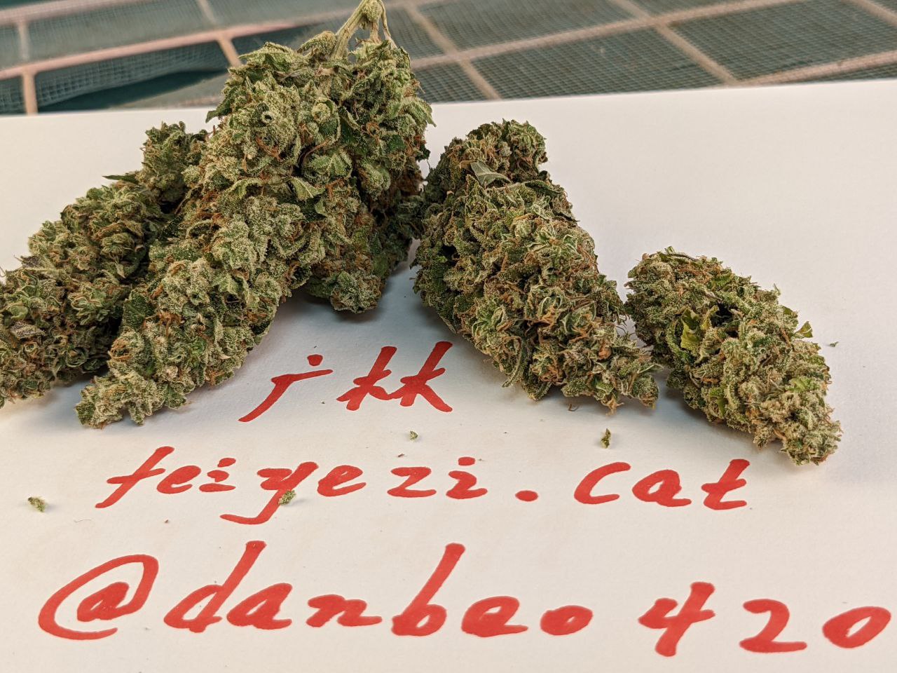 【重庆】国产蓝梦