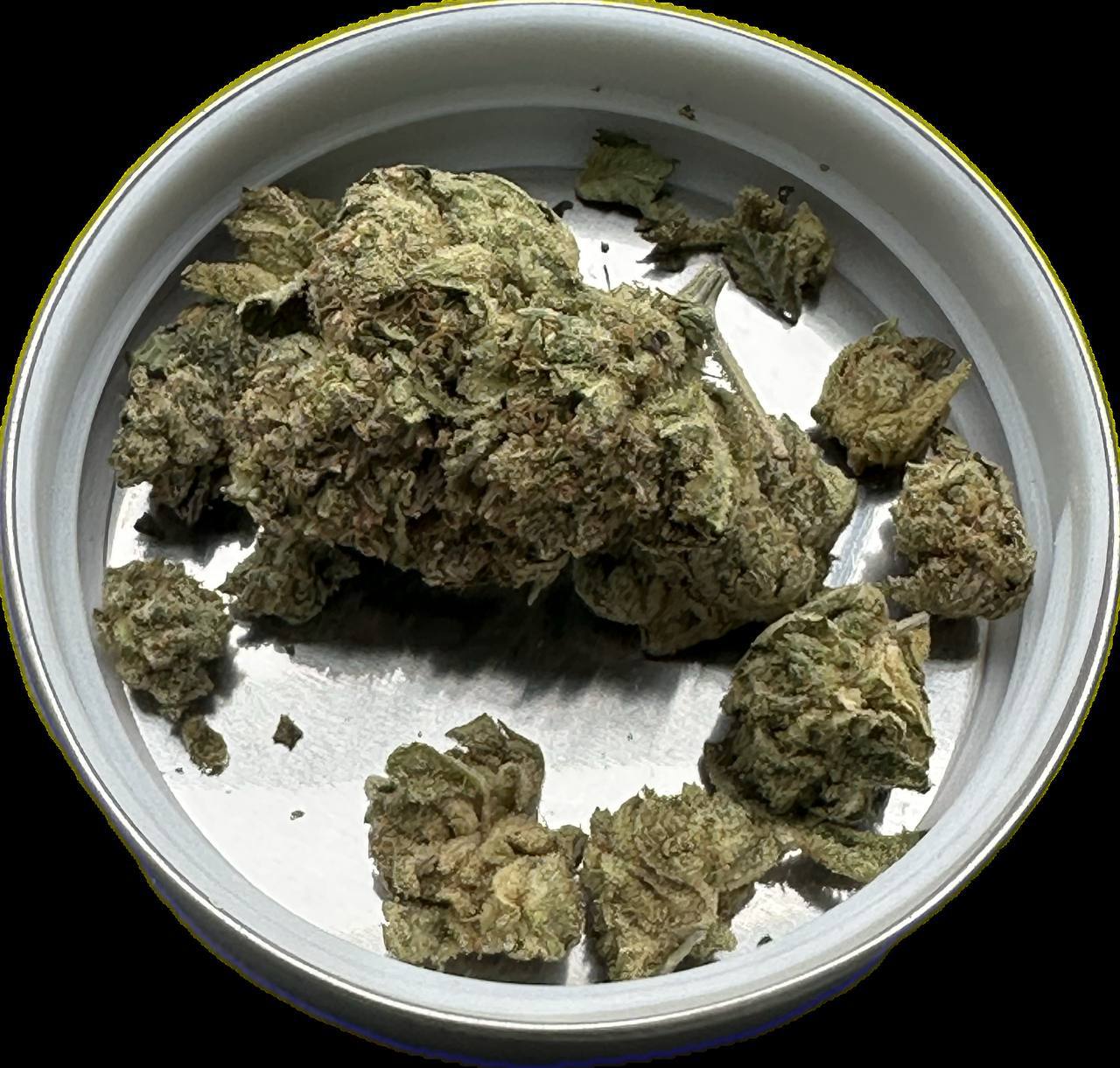 【重庆/成都】Green Crack国产