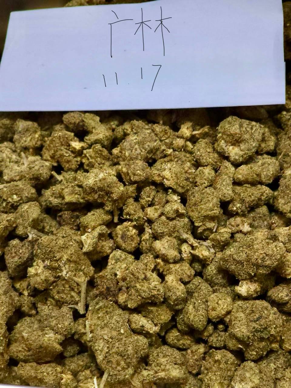 【广东】進口Dosidos