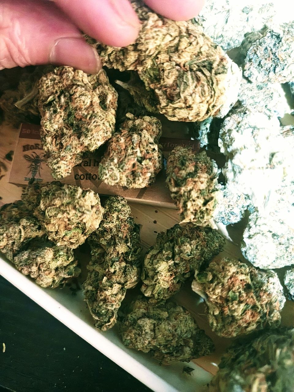 【成都/重庆 】菠萝快车🍍