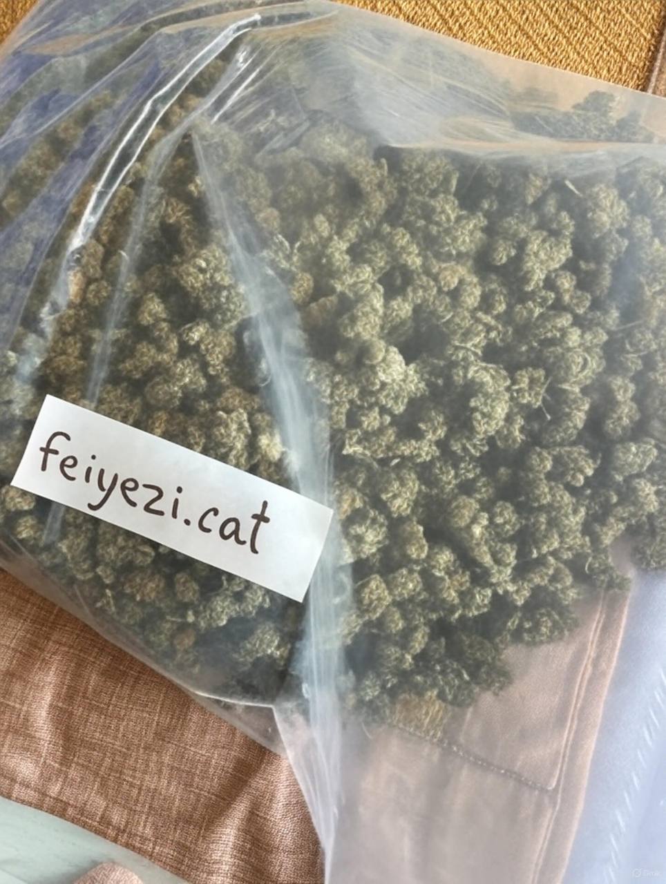 【福州】国产蓝莓