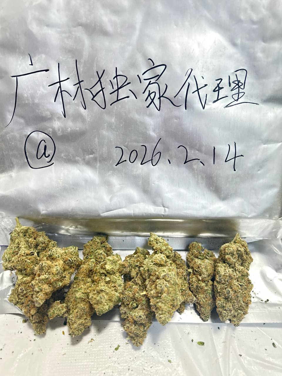 【福州/厦门】进口白寡妇