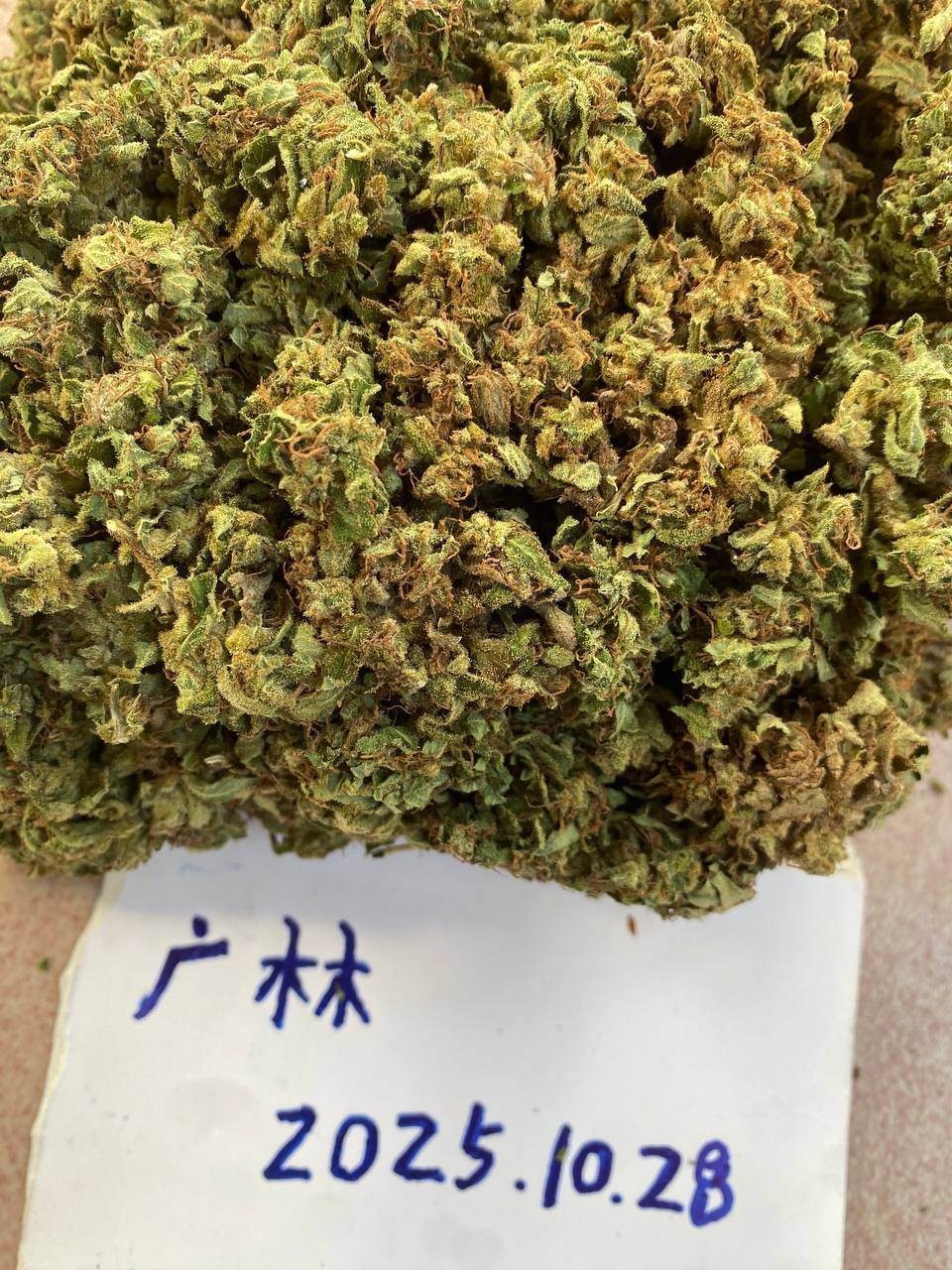 【广西】柳州 桂林  国产Oreoz