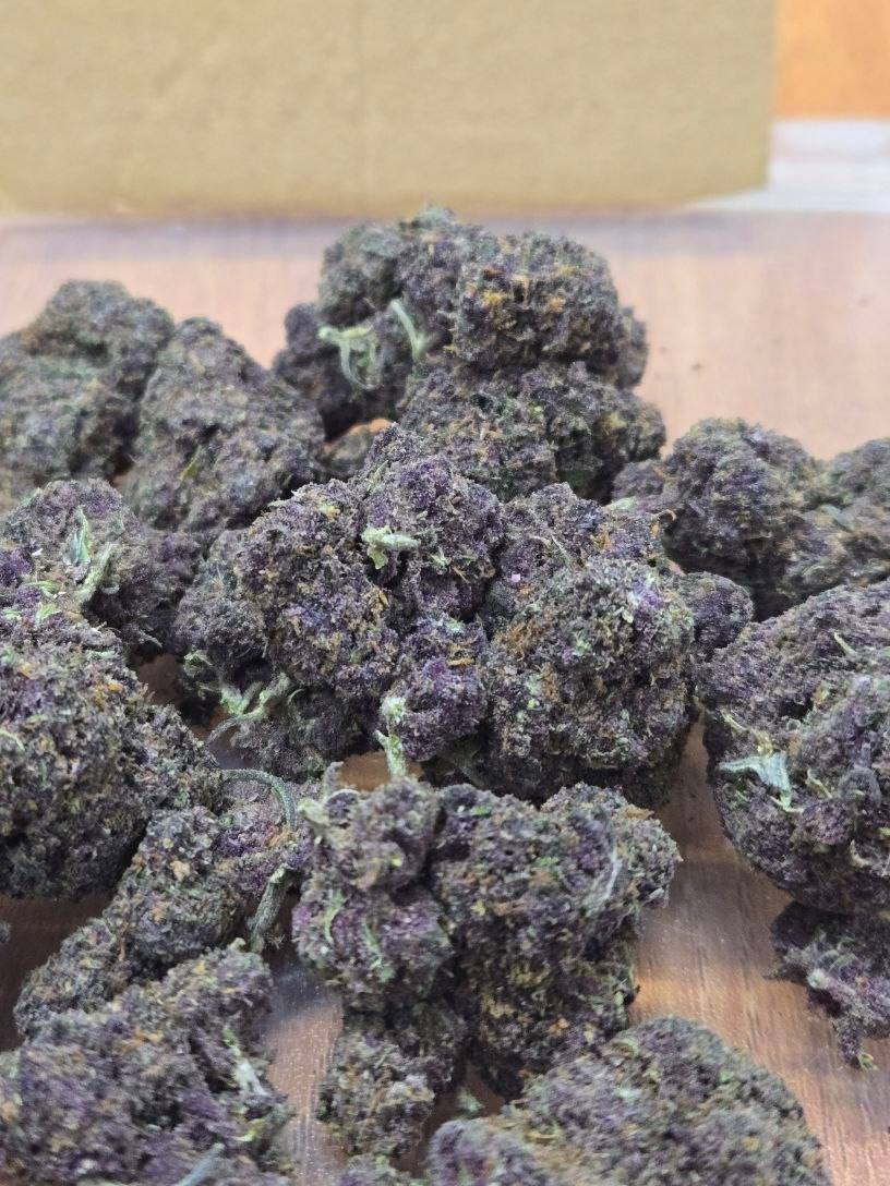 【广州/深圳】Purple Dream（紫夢）