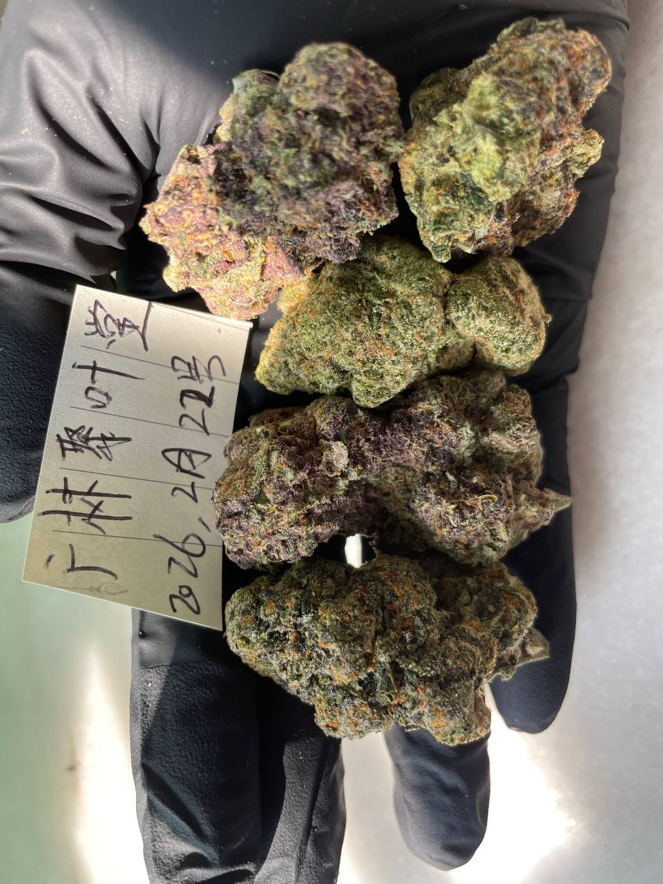 【广州/深圳】🇺🇸🇨🇦进口5A顶级多款混拼