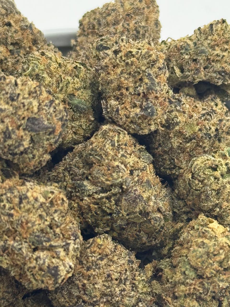 【广东/福建】进口OG KUSH