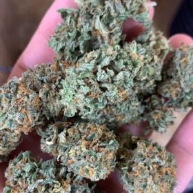 专供大陆以外地区