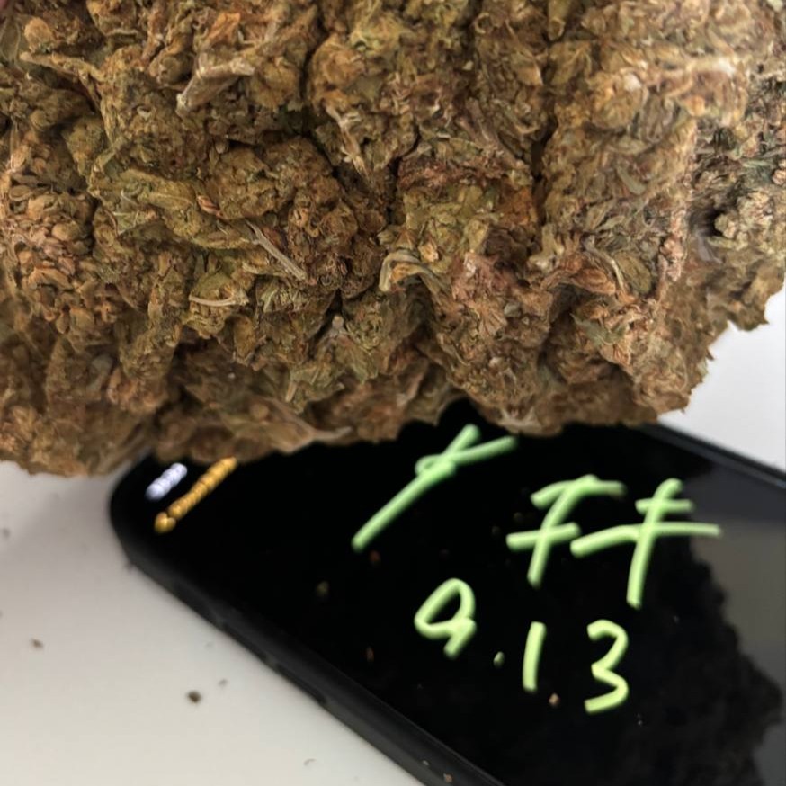 【郴州/贵阳】国产kush