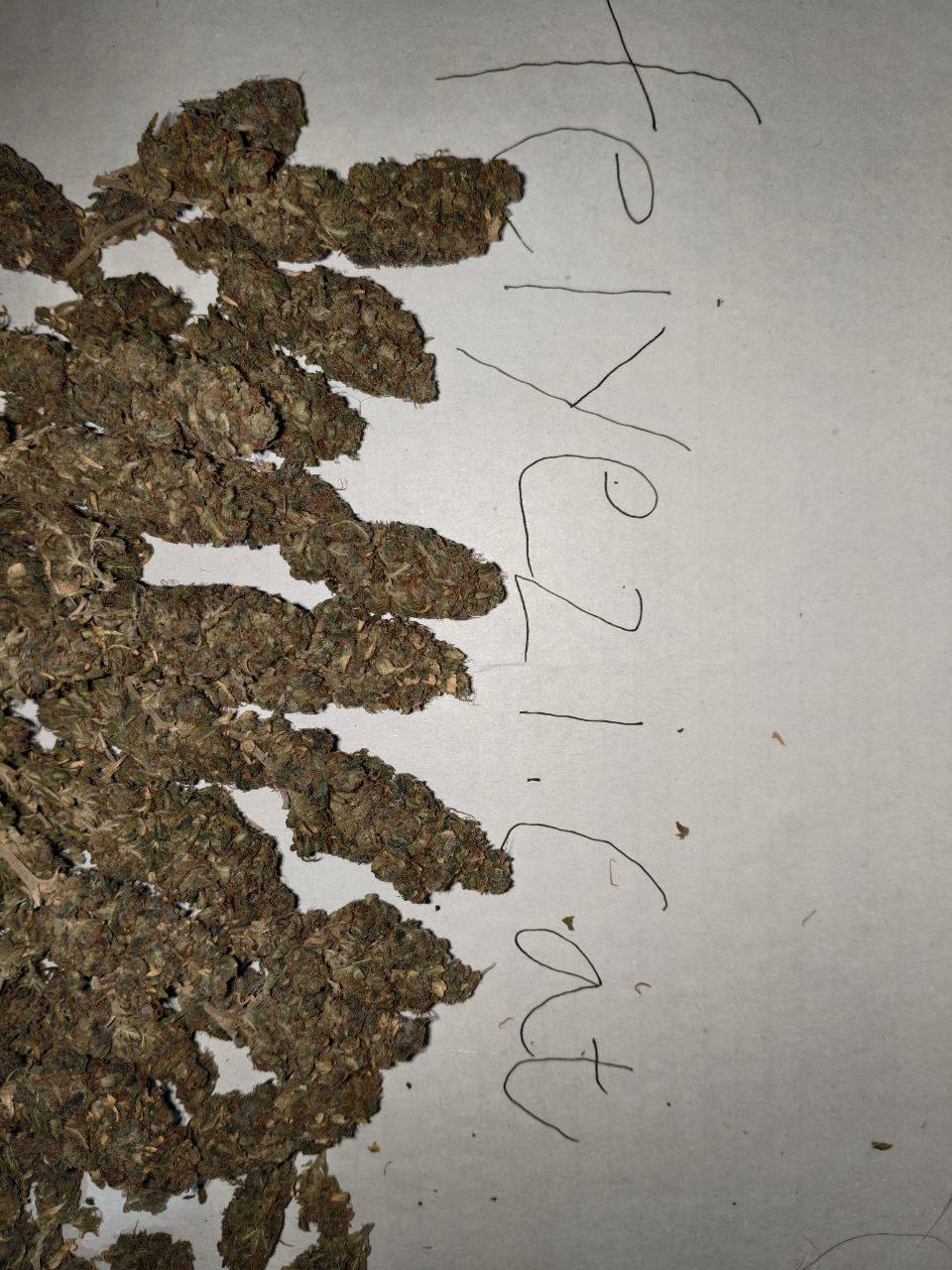 【昆明】国产 Sour Cheese