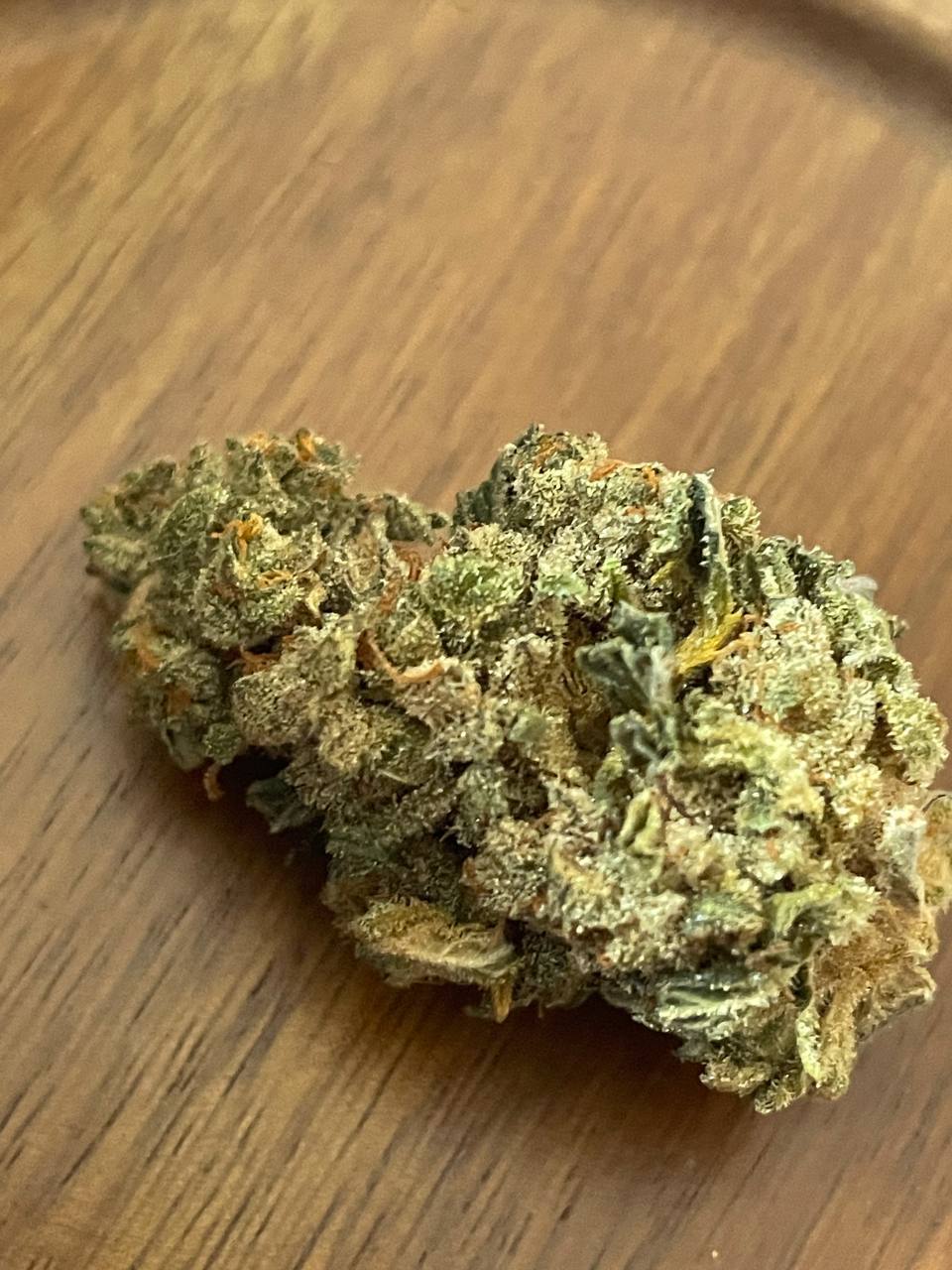 【杭州】国产紫玫瑰