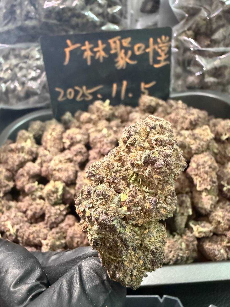 【上海】进口🇺🇸Purple Gelato🇺🇸