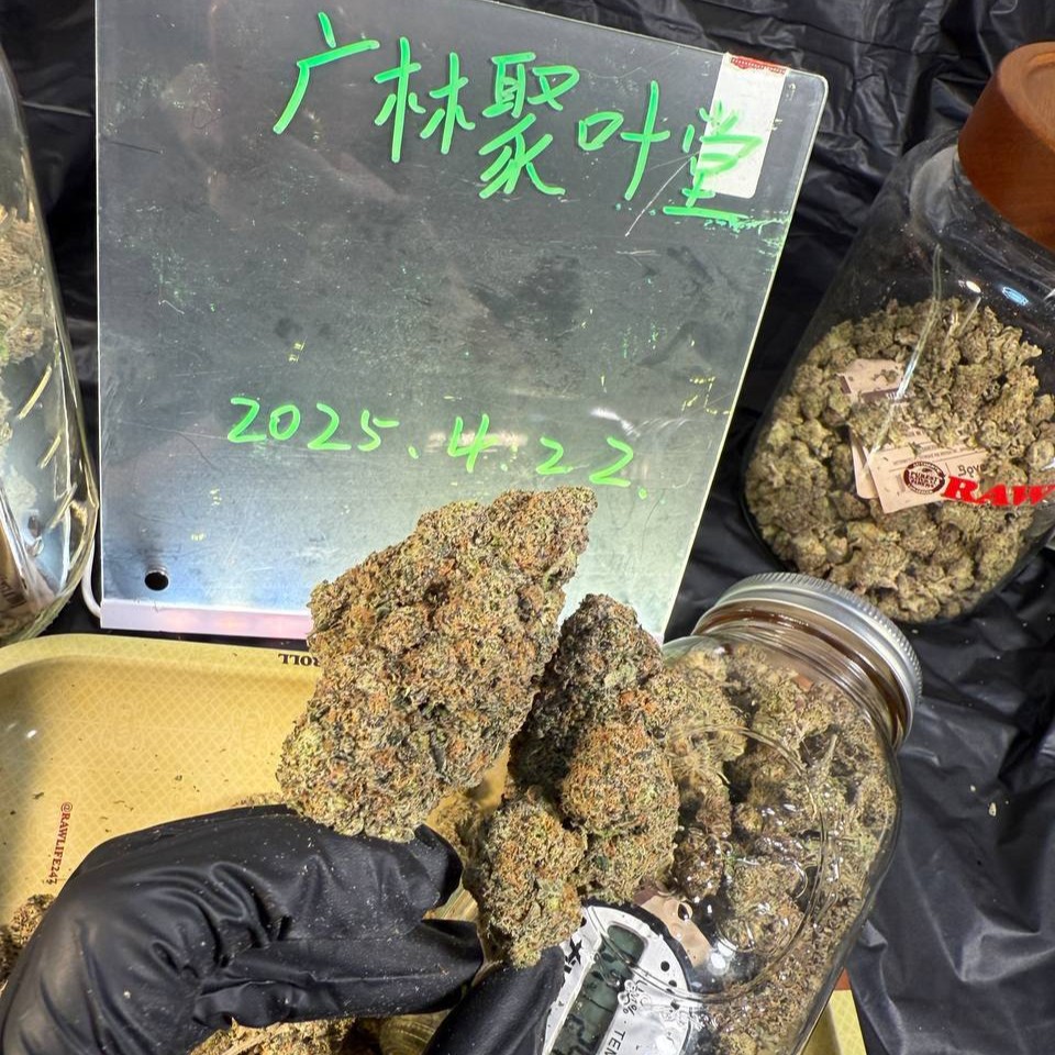 【南京/苏州】美国进口