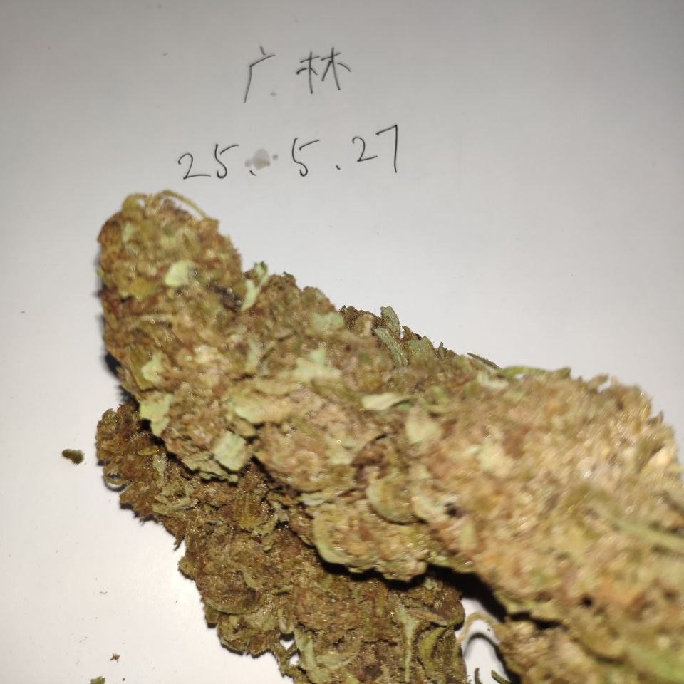 【山东】室内精品