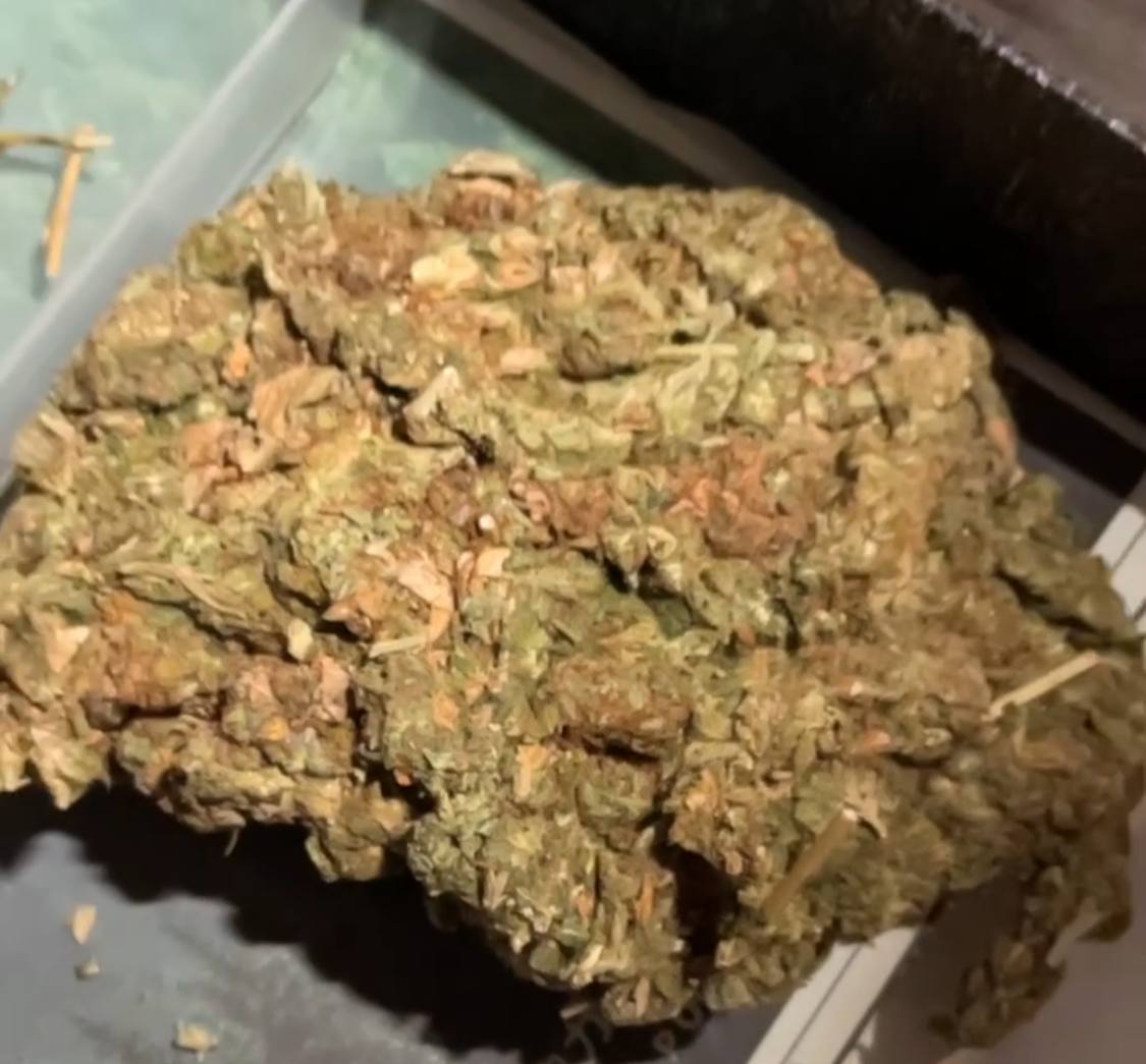 【云南】柠檬雾霾双拼