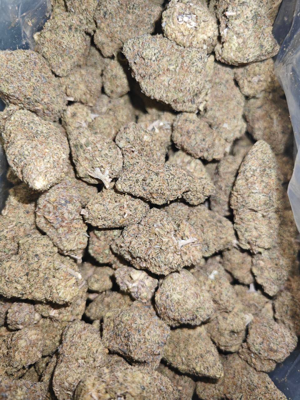 【长沙】进口 THC BOOM