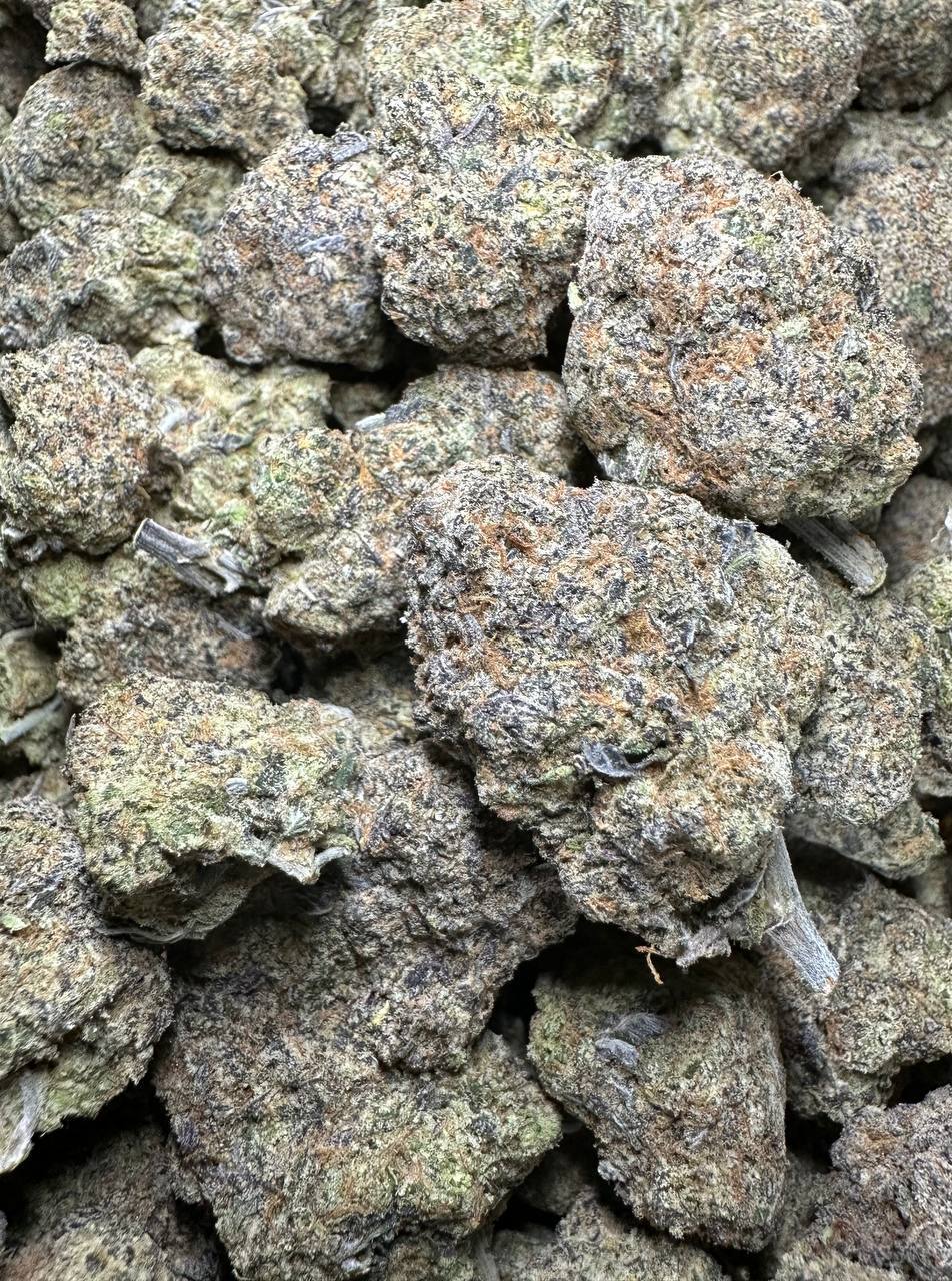 【广州】布鲁斯·班纳