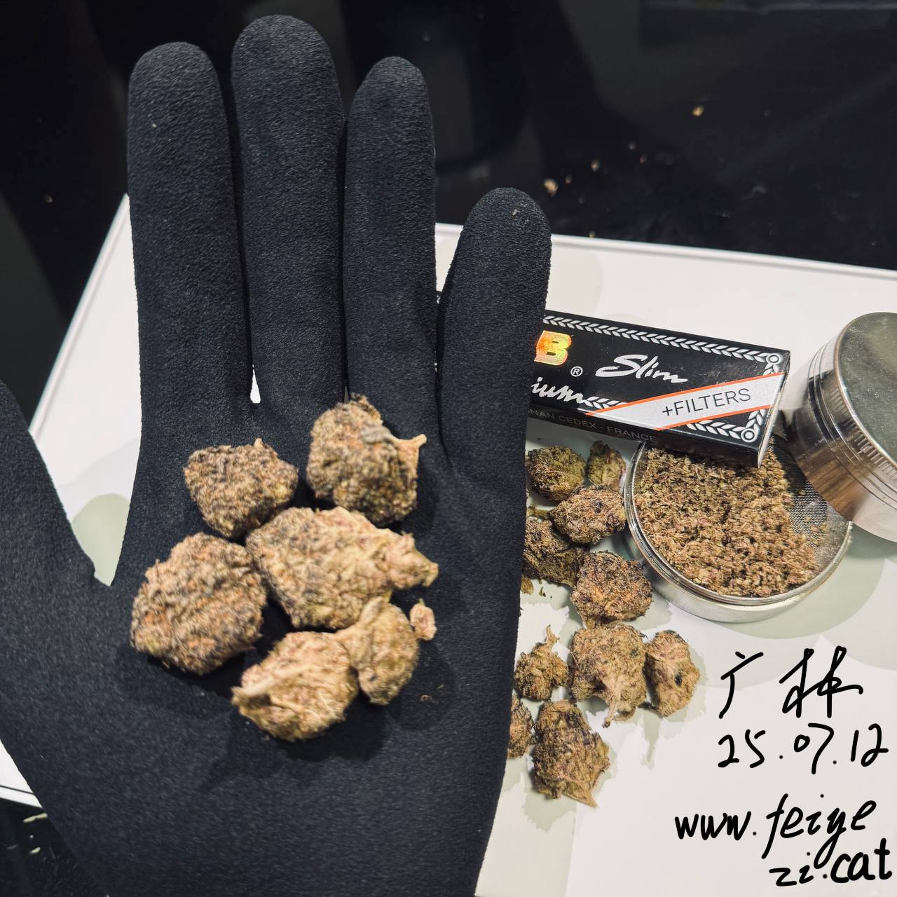 【广东】OGKUSH