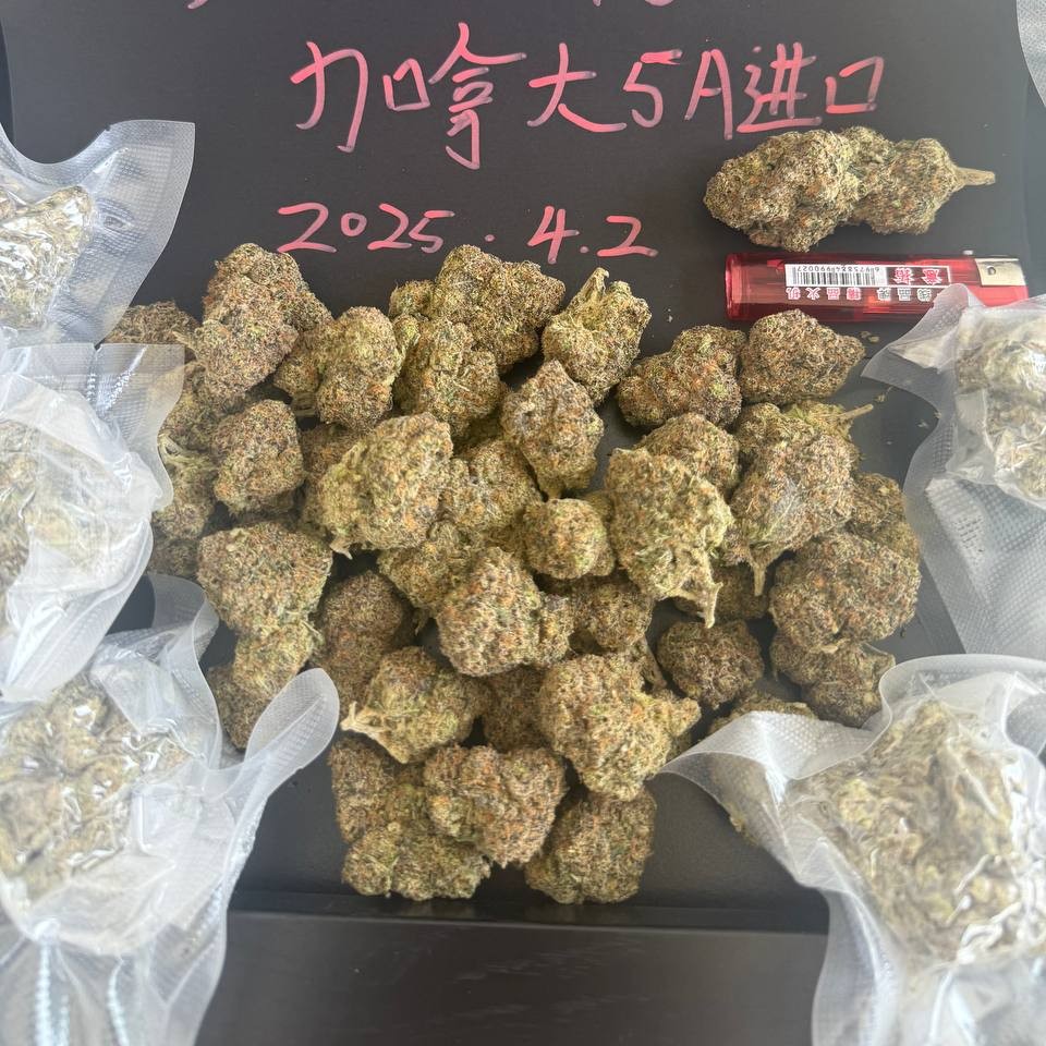 【福州/厦门】国产kush