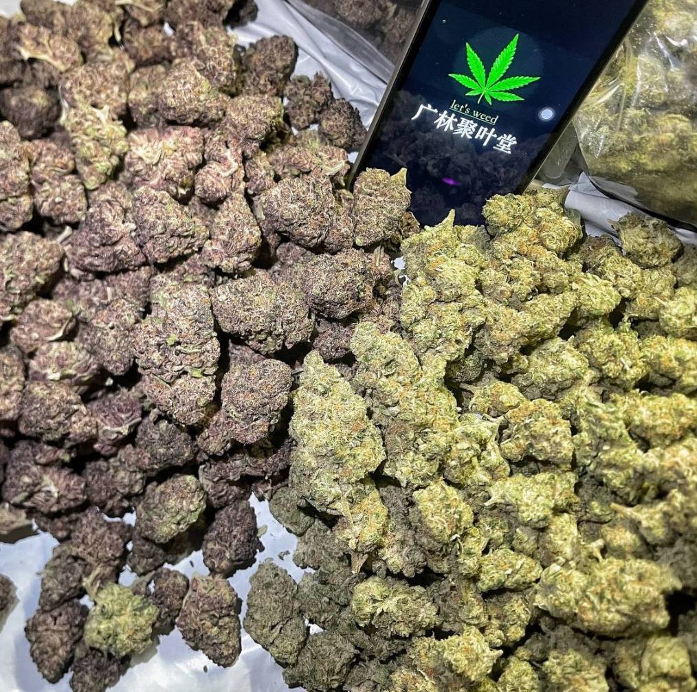 【深圳】进口炸弹x紫色波夫