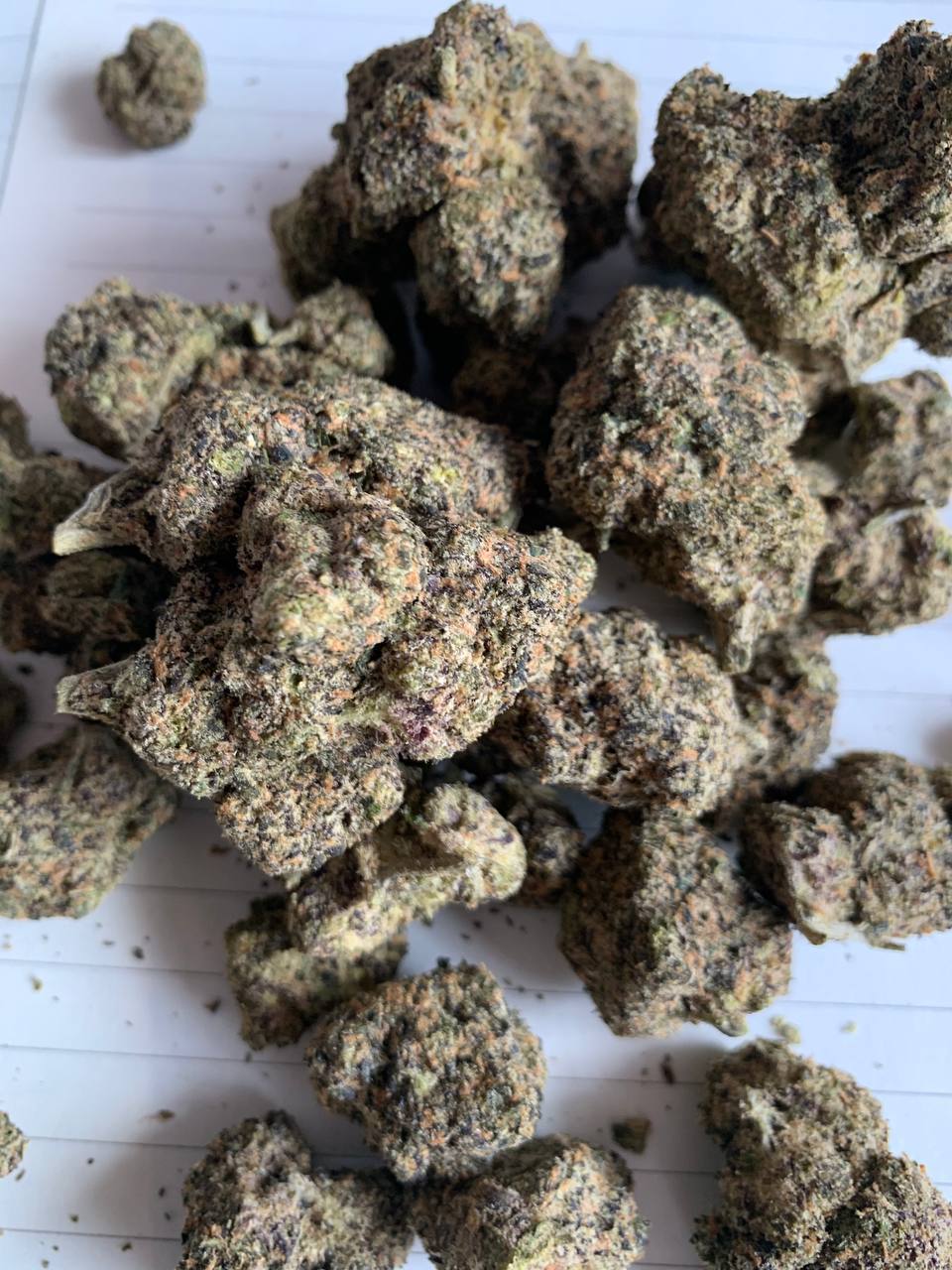 【合肥】进口green buntz