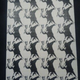 广林独家Bankay-100ug